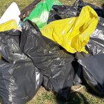 World cleanup day 2019 Oostplas Hoge Wal Goirle