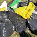 World cleanup day 2019 Oostplas Hoge Wal Goirle