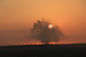 Zonsopgang bij Oostplas - Bron Fons Jonkers