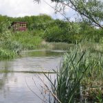 Natuur in onze wijk - Bron Piet Verheijen