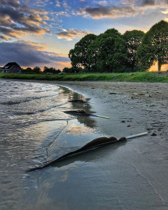 Oostplas | Bron Instagram - Nan_scapes