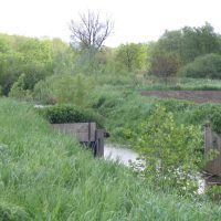 Natuur in onze wijk - Bron Piet Verheijen