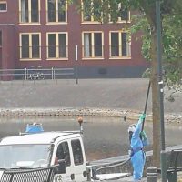 opruimen eikenprocessierupsen Hoge Wal boulevard Oostplas